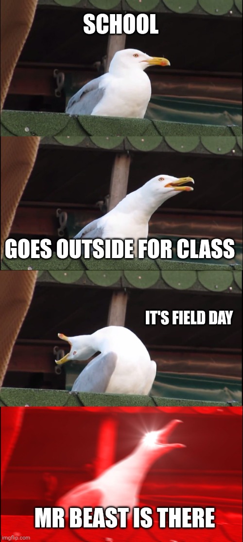 Inhaling Seagull | SCHOOL; GOES OUTSIDE FOR CLASS; IT'S FIELD DAY; MR BEAST IS THERE | image tagged in memes,inhaling seagull | made w/ Imgflip meme maker