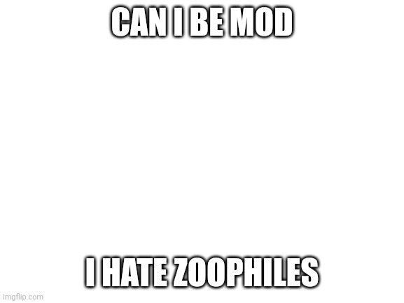 Blank White Template | CAN I BE MOD; I HATE ZOOPHILES | image tagged in blank white template | made w/ Imgflip meme maker