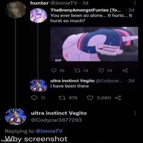 The pure shock and disbelief displayed from the mere two words, "Why screenshot". He wasn't mad, he was just disappointed. | made w/ Imgflip meme maker