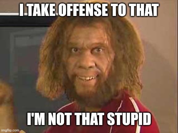 caveman | I TAKE OFFENSE TO THAT I'M NOT THAT STUPID | image tagged in caveman | made w/ Imgflip meme maker
