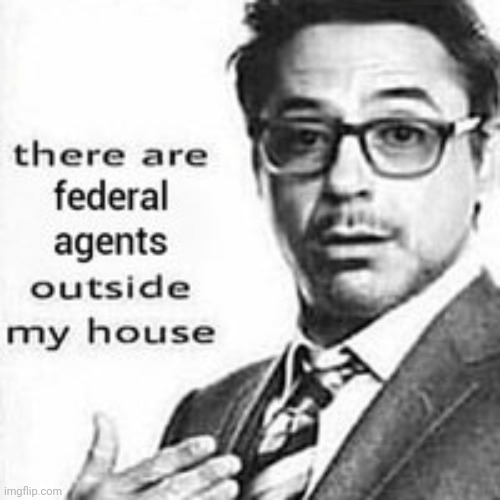 (Mod note: Same) | image tagged in robert downey jr | made w/ Imgflip meme maker