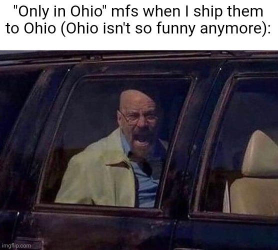 Walter White Screaming At Hank | "Only in Ohio" mfs when I ship them to Ohio (Ohio isn't so funny anymore): | image tagged in walter white screaming at hank | made w/ Imgflip meme maker