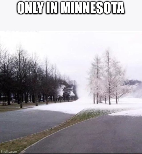 Only in Minnesota (skull) | ONLY IN MINNESOTA | image tagged in only in minnesota,minnesota,snow,weather | made w/ Imgflip meme maker
