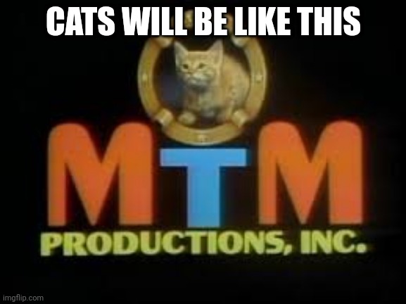 cats will be like this | CATS WILL BE LIKE THIS | image tagged in meme to meme,memes,mtm | made w/ Imgflip meme maker