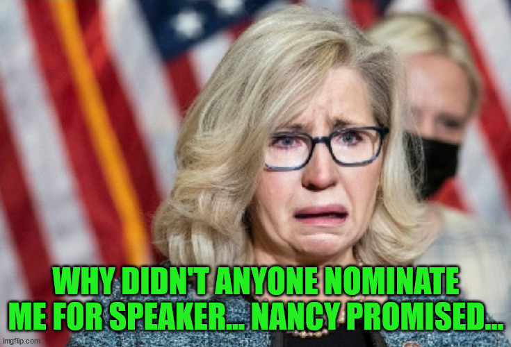 Poor Liz...  duped again by the swamp... | WHY DIDN'T ANYONE NOMINATE ME FOR SPEAKER... NANCY PROMISED... | image tagged in liz cheney,victim | made w/ Imgflip meme maker