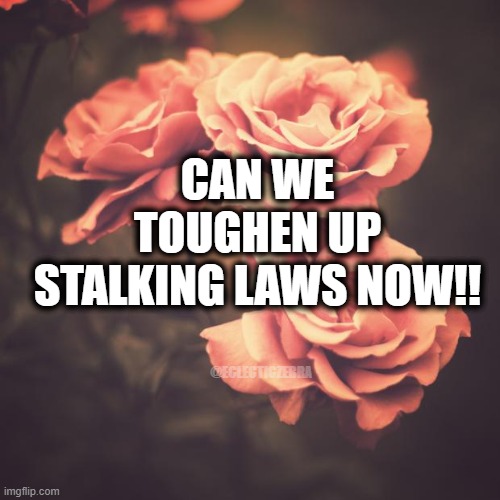 Beautiful Vintage Flowers | CAN WE TOUGHEN UP STALKING LAWS NOW!! @ECLECTICZEBRA | image tagged in beautiful vintage flowers | made w/ Imgflip meme maker