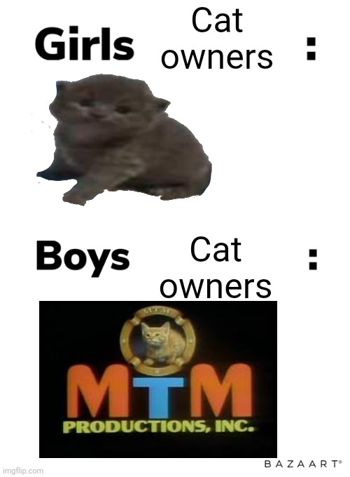 boy cat owners vs. girl cat owners | Cat owners; Cat owners | image tagged in boys vs girls,memes,meme to meme | made w/ Imgflip meme maker