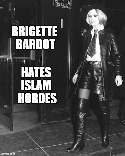 Brigitte Bardot | HATES 
ISLAM 
HORDES; BRIGETTE 
BARDOT | image tagged in islam | made w/ Imgflip meme maker