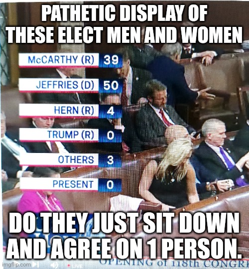 The 118th congress in chaos | PATHETIC DISPLAY OF THESE ELECT MEN AND WOMEN; DO THEY JUST SIT DOWN AND AGREE ON 1 PERSON. | image tagged in donald trump approves,chaos,rino,dino,congress | made w/ Imgflip meme maker