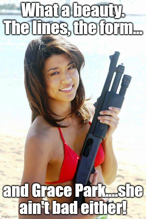 What a beauty.  The lines, the form... and Grace Park....she ain't bad either! | image tagged in guns,gun,2nd amendment | made w/ Imgflip meme maker