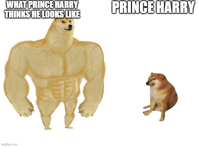 Prince Harry | WHAT PRINCE HARRY THINKS HE LOOKS LIKE; PRINCE HARRY | image tagged in prince harry,meghan markle | made w/ Imgflip meme maker