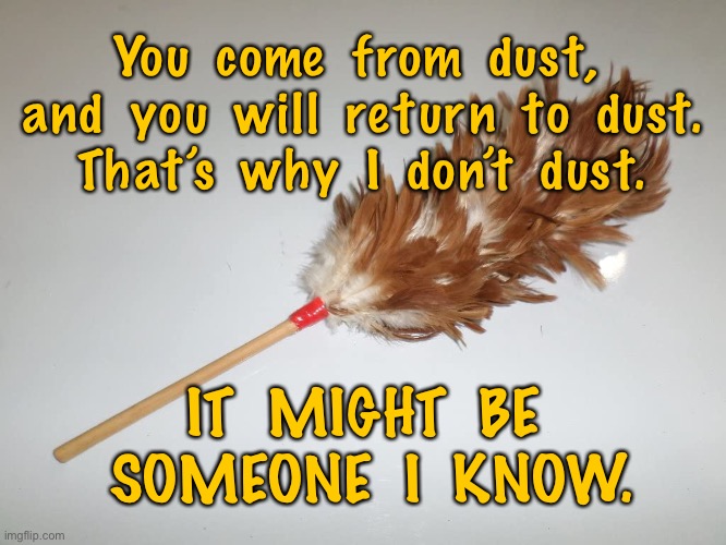 I do not dust | You  come  from  dust,  and  you  will  return  to  dust.
That’s  why  I  don’t  dust. IT  MIGHT  BE  SOMEONE  I  KNOW. | image tagged in chicken feather duster,come from dust,return to dust,i do not dust,someone i know | made w/ Imgflip meme maker