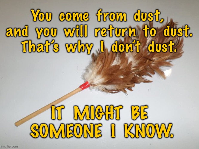 I Do Not Dust Imgflip