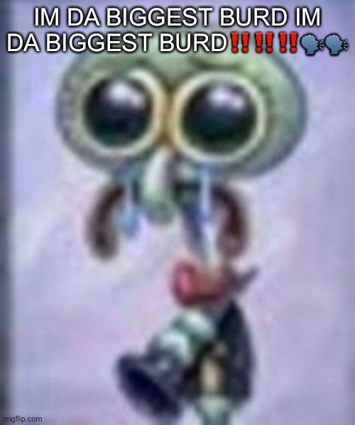 GRAHHHH | IM DA BIGGEST BURD IM DA BIGGEST BURD‼️‼️‼️🗣🗣 | image tagged in squidwar cri | made w/ Imgflip meme maker