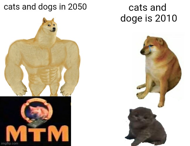 cats and dogs in 2010 vs. 2050 | cats and dogs in 2050; cats and 
doge is 2010 | image tagged in buff doge vs cheems,meme to meme,mtm,memes | made w/ Imgflip meme maker