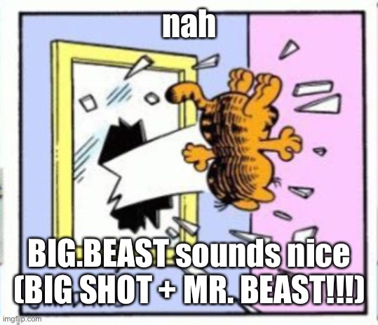 idk | nah; BIG.BEAST sounds nice (BIG SHOT + MR. BEAST!!!) | image tagged in garfield gets thrown out of a window | made w/ Imgflip meme maker