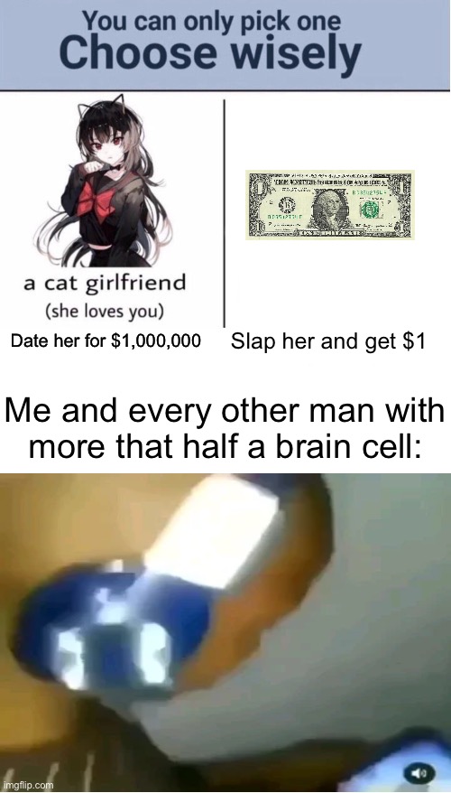 Choose wisely | Slap her and get $1; Date her for $1,000,000; Me and every other man with more that half a brain cell: | image tagged in choose wisely | made w/ Imgflip meme maker