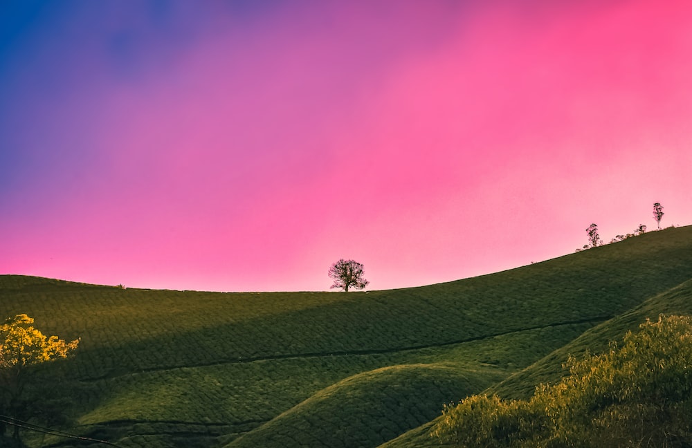 I wisj Blank Meme Template