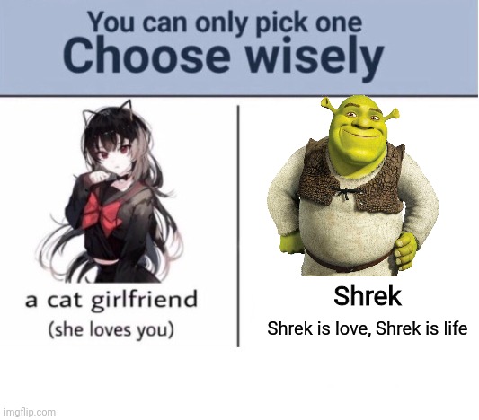 Shrekkkk | Shrek; Shrek is love, Shrek is life | image tagged in choose wisely | made w/ Imgflip meme maker