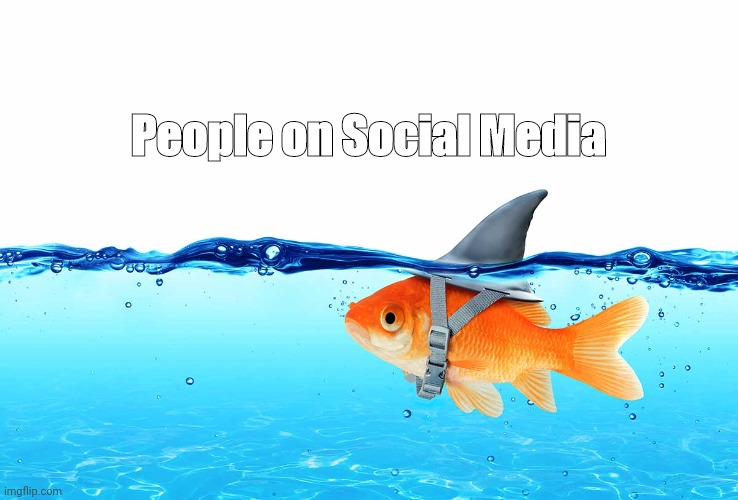 People of social media | People on Social Media | image tagged in fish shark | made w/ Imgflip meme maker