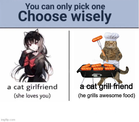 Choose wisely | a cat grill friend; (he grills awesome food) | image tagged in choose wisely | made w/ Imgflip meme maker