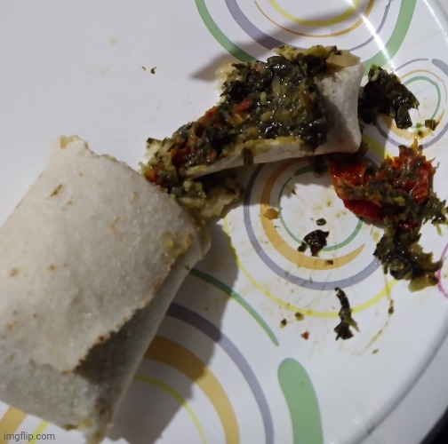 who tf shoved waste in a tortilla and called it a burrito ☠️ | made w/ Imgflip meme maker