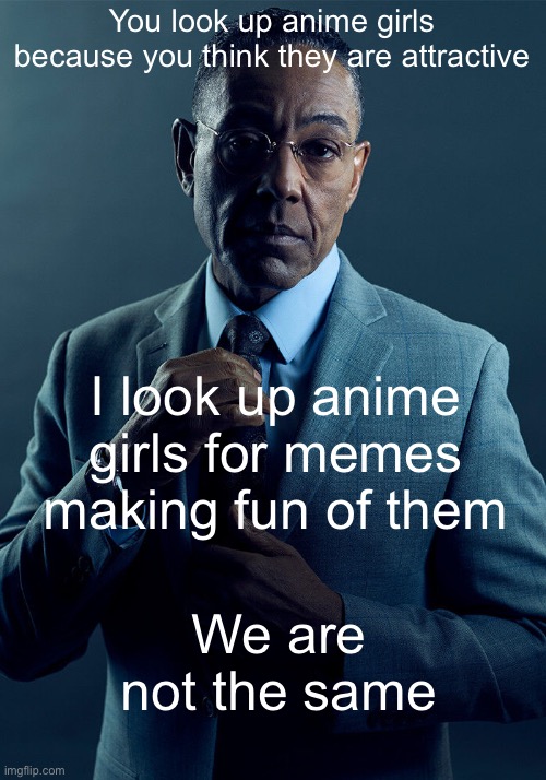 We are not the same | You look up anime girls because you think they are attractive; I look up anime girls for memes making fun of them; We are not the same | image tagged in gus fring we are not the same | made w/ Imgflip meme maker