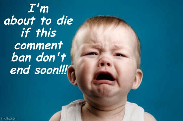 crybaby | I'm about to die if this comment ban don't end soon!!! | image tagged in crybaby | made w/ Imgflip meme maker