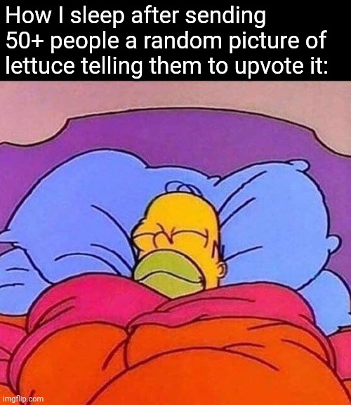 Homer Simpson sleeping peacefully | How I sleep after sending 50+ people a random picture of lettuce telling them to upvote it: | image tagged in homer simpson sleeping peacefully | made w/ Imgflip meme maker