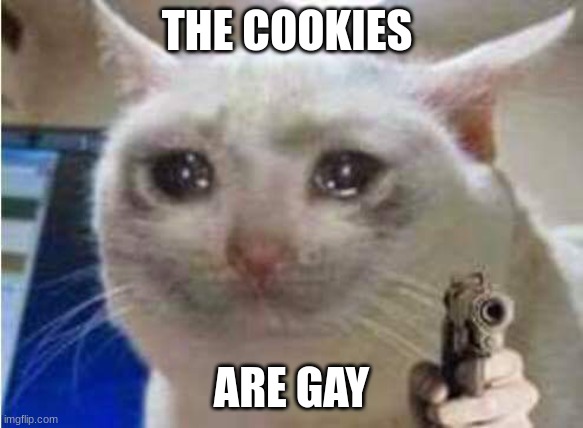 Sad cat with gun | THE COOKIES ARE GAY | image tagged in sad cat with gun | made w/ Imgflip meme maker