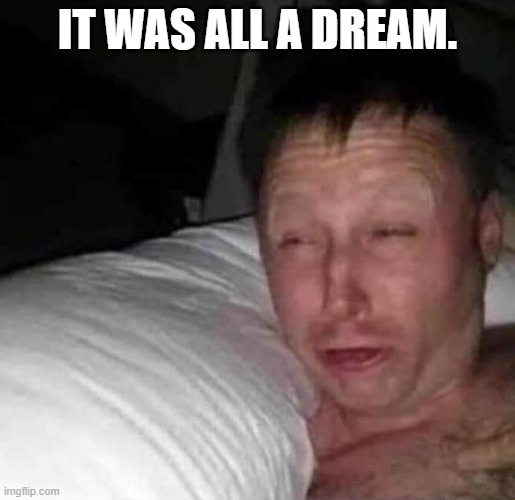 Sleepy guy | IT WAS ALL A DREAM. | image tagged in sleepy guy | made w/ Imgflip meme maker