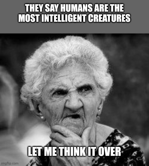 confused old lady | THEY SAY HUMANS ARE THE MOST INTELLIGENT CREATURES; LET ME THINK IT OVER | image tagged in confused old lady | made w/ Imgflip meme maker