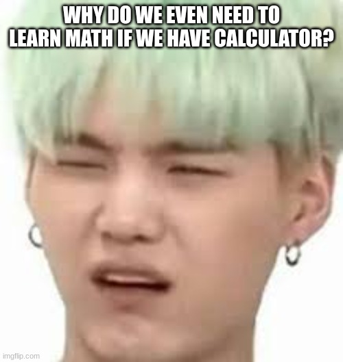 aRMY??? | WHY DO WE EVEN NEED TO LEARN MATH IF WE HAVE CALCULATOR? | image tagged in army | made w/ Imgflip meme maker