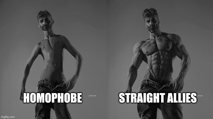 Feminist & Lgbt vs straight people [ Giga Chad ] Memes. #lgbt