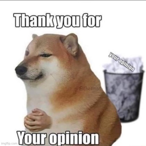 Thank you for your opinion | image tagged in thank you for your opinion | made w/ Imgflip meme maker