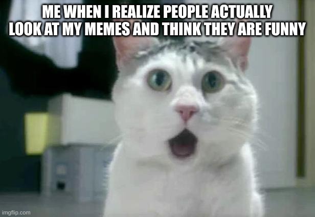My exact face | ME WHEN I REALIZE PEOPLE ACTUALLY LOOK AT MY MEMES AND THINK THEY ARE FUNNY | image tagged in memes,omg cat | made w/ Imgflip meme maker
