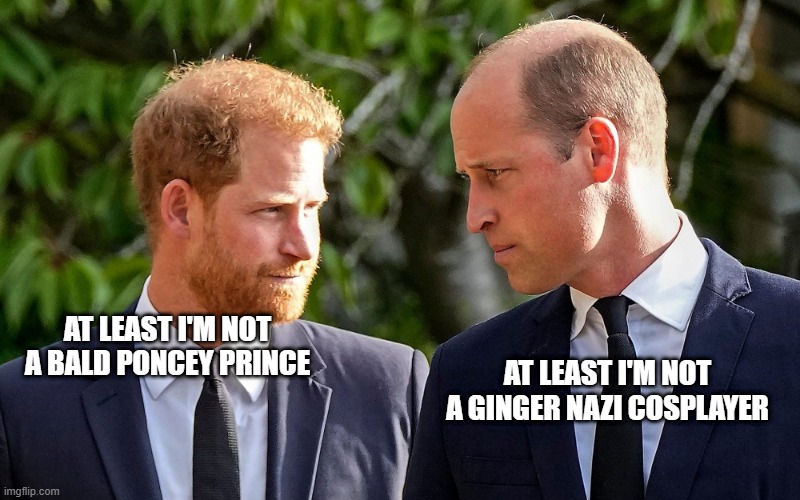 prince fight in reality | AT LEAST I'M NOT A GINGER NAZI COSPLAYER; AT LEAST I'M NOT A BALD PONCEY PRINCE | image tagged in royals,princes | made w/ Imgflip meme maker