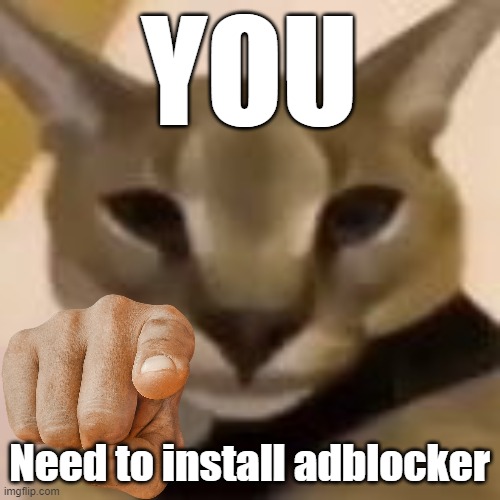 Fuck dem ads | YOU Need to install adblocker | image tagged in hecker | made w/ Imgflip meme maker