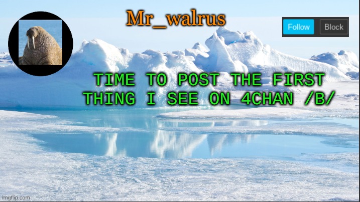 Mr_walrus | TIME TO POST THE FIRST THING I SEE ON 4CHAN /B/ | image tagged in mr_walrus | made w/ Imgflip meme maker