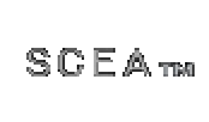 SCEA™ Meme Template