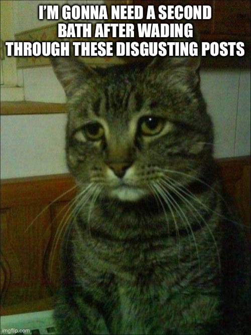 Gn y’all | I’M GONNA NEED A SECOND BATH AFTER WADING THROUGH THESE DISGUSTING POSTS | image tagged in memes,depressed cat,seriously yall need to chill | made w/ Imgflip meme maker