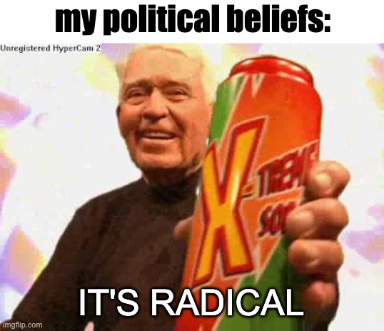 my political beliefs:; IT'S RADICAL | made w/ Imgflip meme maker
