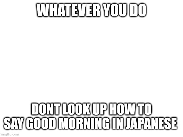 WHATEVER YOU DO; DONT LOOK UP HOW TO SAY GOOD MORNING IN JAPANESE | image tagged in ohio | made w/ Imgflip meme maker