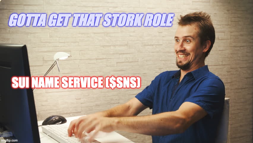 grinding it sns | GOTTA GET THAT STORK ROLE; SUI NAME SERVICE ($SNS) | image tagged in crazy typing person | made w/ Imgflip meme maker