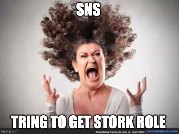 Crazy woman | SNS; TRING TO GET STORK ROLE | image tagged in crazy woman | made w/ Imgflip meme maker