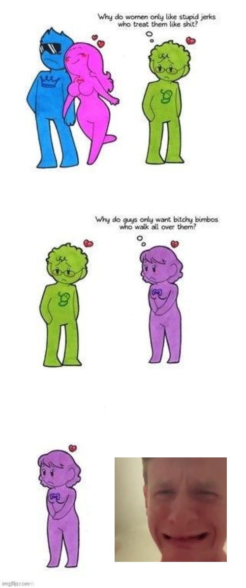 Why Do Women Only Like Stupid Jerks Who Treat Them Like Shit? | image tagged in why do women only like stupid jerks who treat them like shit | made w/ Imgflip meme maker