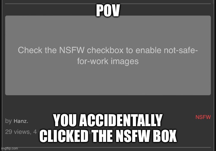 POV; YOU ACCIDENTALLY CLICKED THE NSFW BOX | made w/ Imgflip meme maker
