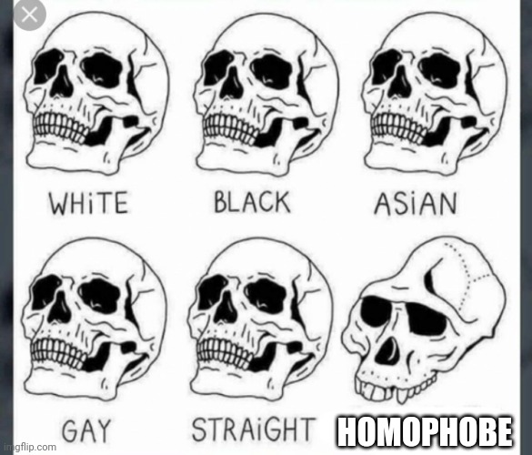 Kinda counts (this stream is dieing T-T) | HOMOPHOBE | image tagged in white black asian gay straight skull template | made w/ Imgflip meme maker
