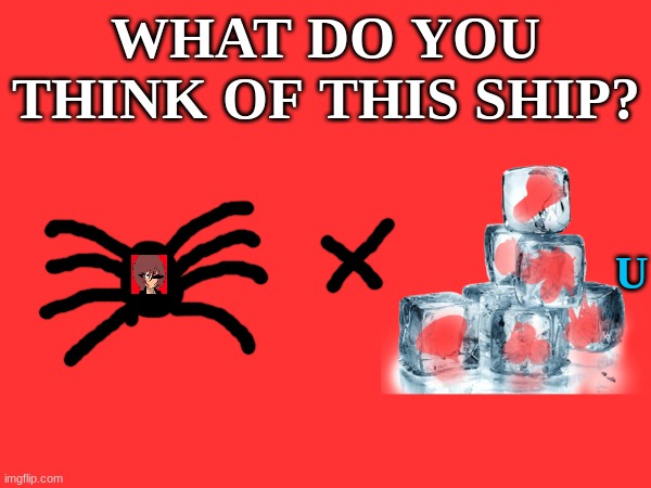 try and guess who i'm referring too | WHAT DO YOU THINK OF THIS SHIP? U | made w/ Imgflip meme maker