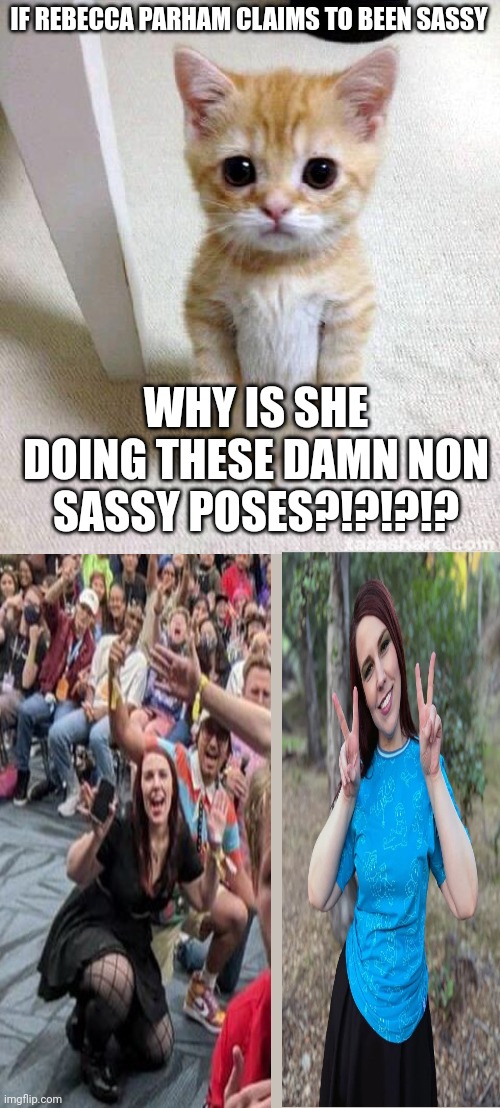 IF REBECCA PARHAM CLAIMS TO BEEN SASSY; WHY IS SHE DOING THESE DAMN NON SASSY POSES?!?!?!? | image tagged in memes,cute cat,poses,rebecca parham,let me explain studios,youtube | made w/ Imgflip meme maker